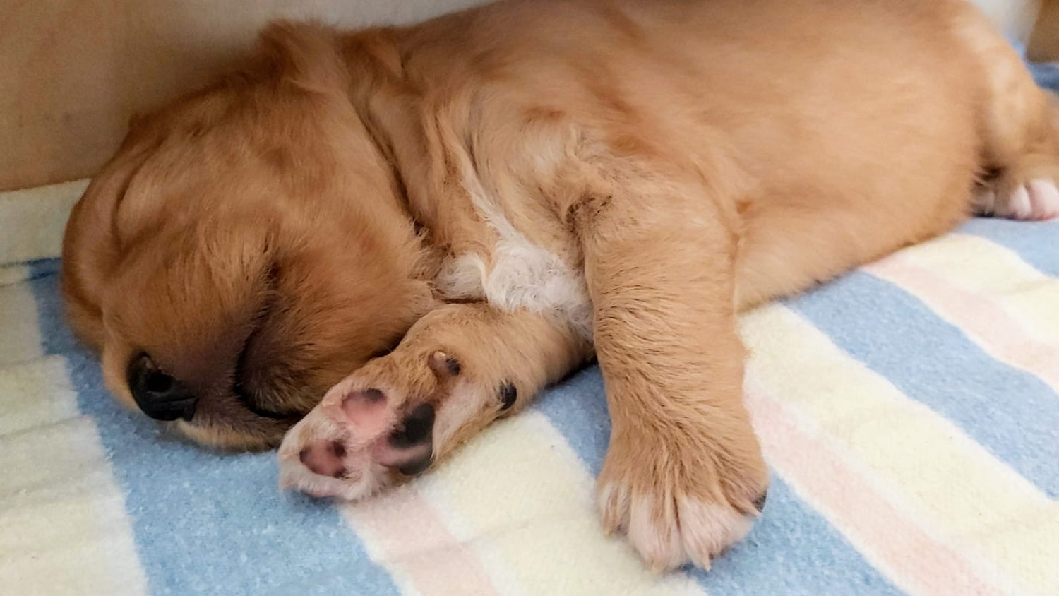 bald haben wir eine Team-Verstärkung