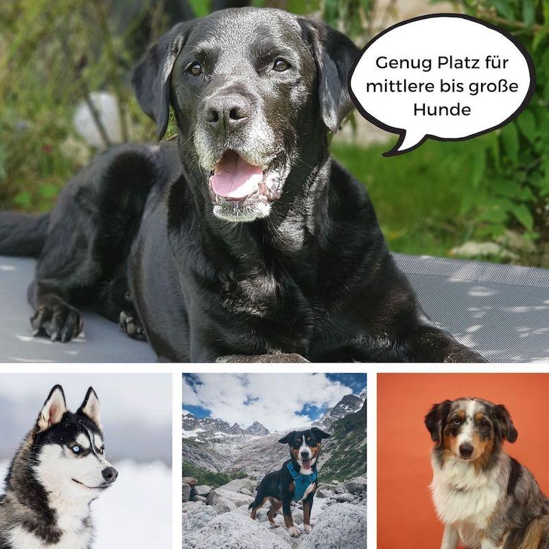 Große und mittelgroße Hunde wie Labrador, Husky und Australian Shepherd genießen ausreichend Platz auf der Liegefläche der KANDO Hundeliege